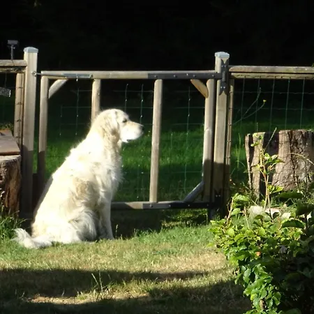 Maison Stijn, Du Bois I & Du Bois Ii *