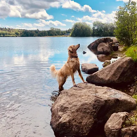 Maison Stijn, Du Bois I & Du Bois Ii *