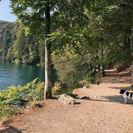 Maison Stijn, Du Bois I & Du Bois Ii Nyaraló *