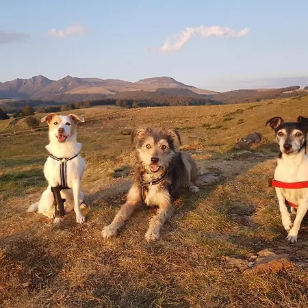 Maison Stijn, Du Bois I & Du Bois Ii *