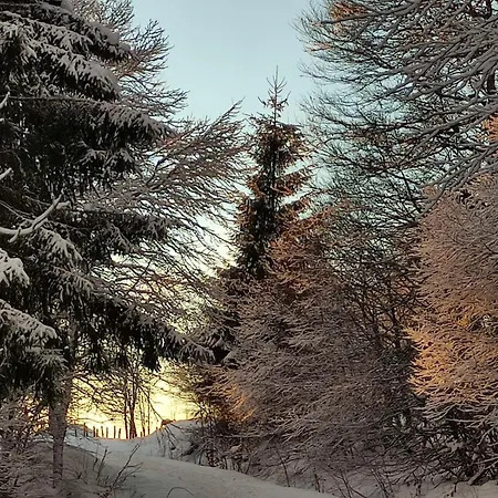 Maison Stijn, Du Bois I & Du Bois Ii Nyaraló