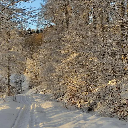 Maison Stijn, Du Bois I & Du Bois Ii *