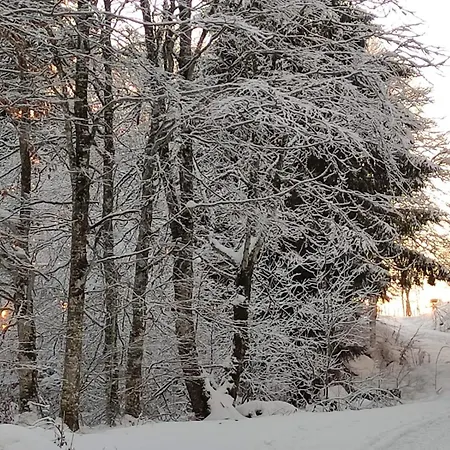Maison Stijn, Du Bois I & Du Bois Ii *