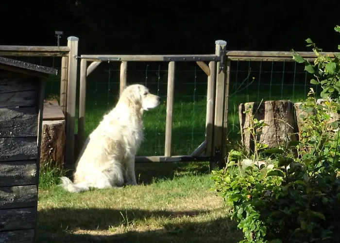 Maison Stijn, Du Bois I & Du Bois Ii *