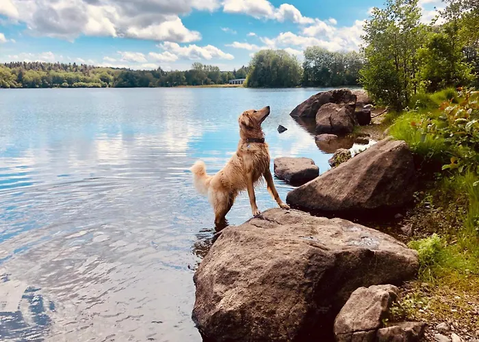Maison Stijn, Du Bois I & Du Bois Ii *