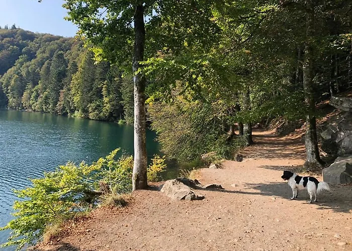 Maison Stijn, Du Bois I & Du Bois Ii Σπίτι διακοπών *