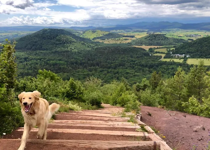 Maison Stijn, Du Bois I & Du Bois Ii