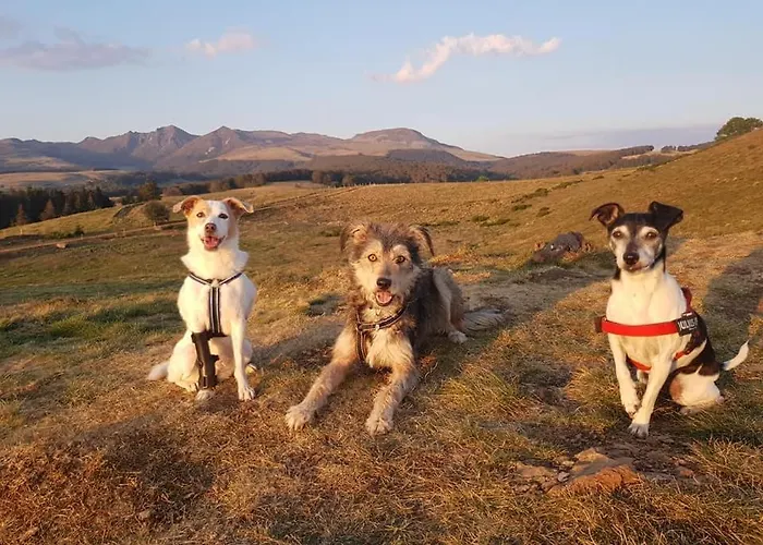 Maison Stijn, Du Bois I & Du Bois Ii *