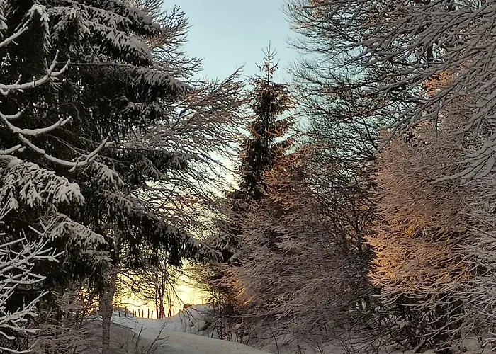 Maison Stijn, Du Bois I & Du Bois Ii Σπίτι διακοπών