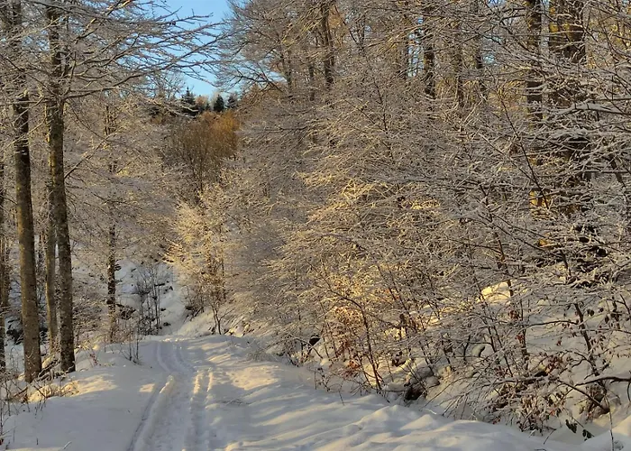 Maison Stijn, Du Bois I & Du Bois Ii *