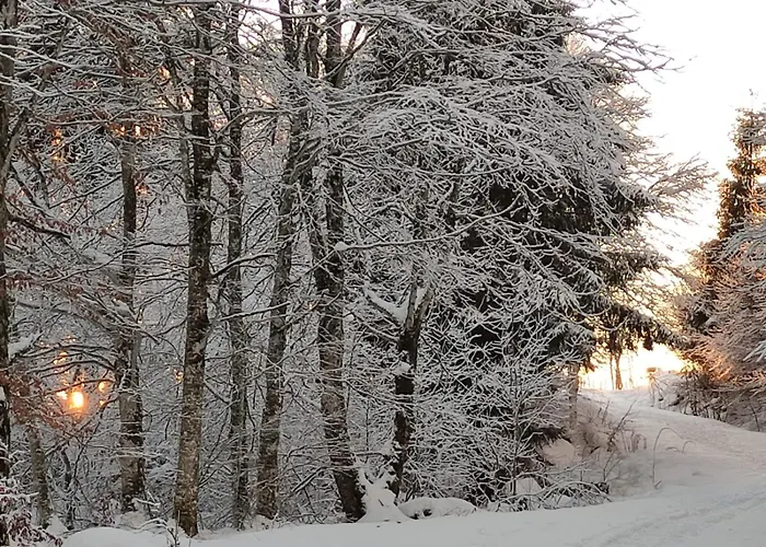 Maison Stijn, Du Bois I & Du Bois Ii *
